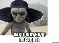  картошку надо посадить