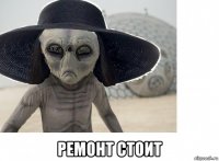  ремонт стоит