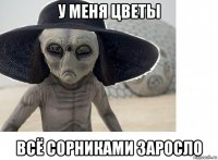 у меня цветы всё сорниками заросло
