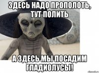 здесь надо прополоть, тут полить а здесь мы посадим гладиолусы!