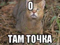 о там точка