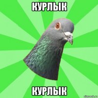 курлык курлык