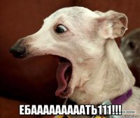  ебааааааааать111!!!