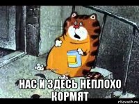  нас и здесь неплохо кормят