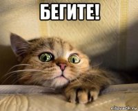 бегите! 