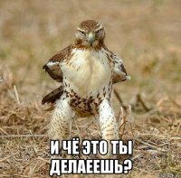  и чё это ты делаеешь?