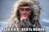  бля-а-а-а ...охуеть можно!