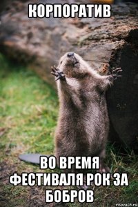 корпоратив во время фестиваля рок за бобров