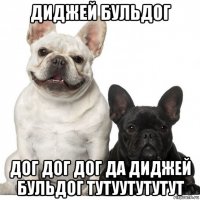 диджей бульдог дог дог дог да диджей бульдог тутуутутутут