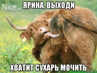 ярина, выходи хватит сухарь мочить