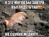 к.312 могла бы завтра выглядеть так но,сцукко,медик!!!........