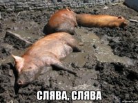  слява, слява