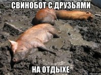 свинобот с друзьями на отдыхе