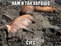 нам и так хорошо сугс