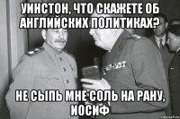 уинстон, что скажете об английских политиках? не сыпь мне соль на рану, иосиф