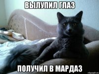 вылупил глаз получил в мардаз