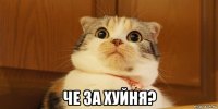  че за хуйня?