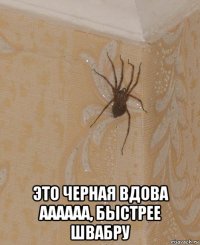  это черная вдова аааааа, быстрее швабру