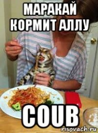 маракай кормит аллу сoub