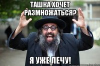 ташка хочет размножаться? я уже лечу!