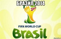 бразил 2014 