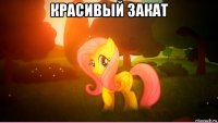 красивый закат 
