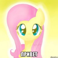  привет