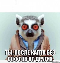  ты, после капта без софтов от других