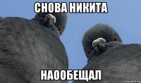 снова никита наообещал