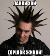 панки хой, горшок живой!