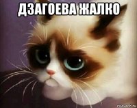 дзагоева жалко 