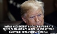  была у медвежонка мечта. слыхал он, что где-то далеко на юге, на маленьком острове, каждую весну расцветает каштан