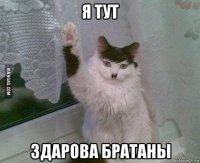 я тут здарова братаны