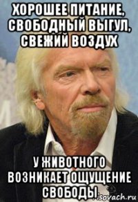 хорошее питание, свободный выгул, свежий воздух у животного возникает ощущение свободы