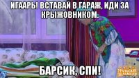игаарь! вставай в гараж, иди за крыжовником. барсик, спи!