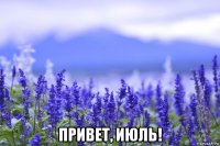  привет, июль!