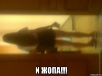  и жопа!!!