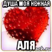душа моя нежная аля