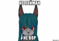 не пойман не вор