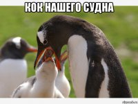 кок нашего судна 