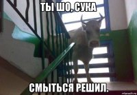 ты шо, сука смыться решил.