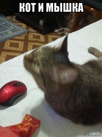 кот и мышка 
