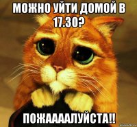 можно уйти домой в 17.30? пожаааалуйста!!