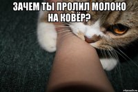 зачем ты пролил молоко на ковёр? 
