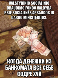 valstybinio socialinio draudimo fondo valdyba prie socialinės apsaugos ir darbo ministerijos. когда денежки из банкомата все себе содре хуй