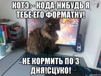 котэ: - кода-нибудь я тебе его форматну! не кормить по 3 дня!cцуко!