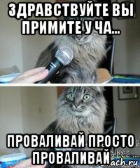 здравствуйте вы примите у ча... проваливай просто проваливай