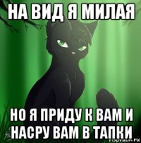на вид я милая но я приду к вам и насру вам в тапки
