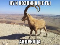 ну и козлина же ты андрюща