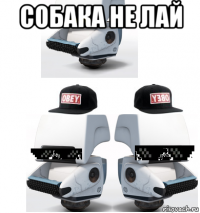 собака не лай 